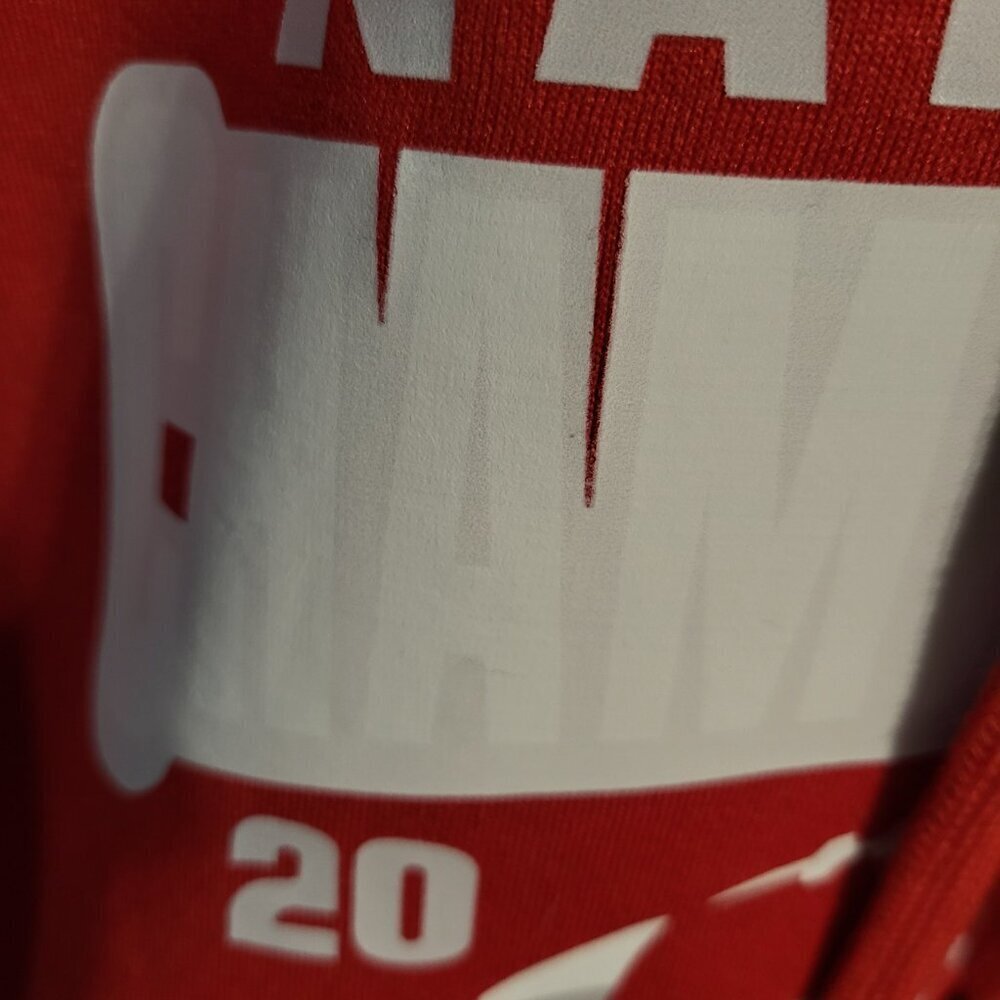MENS HEAVY DUTY FLAWED 2025 OHIO STATE NATIONAL CHAMPIONSHIP HOODIE SZ 2XL - Picture 2 of 5